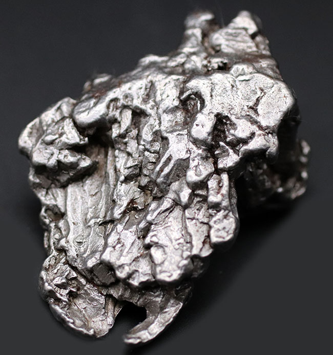 大きい、重い！最も知られた鉄隕石の一つ、アルゼンチンで採集されたカンポ・デル・シエロの大型ピース（その1）