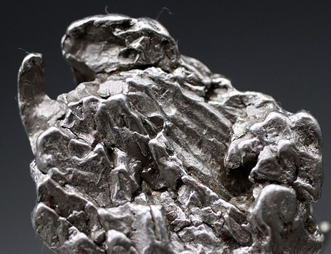 大きい、重い！最も知られた鉄隕石の一つ、アルゼンチンで採集されたカンポ・デル・シエロの大型ピース（その3）