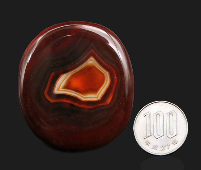 まるでジキルとハイド!表と裏で異なる顔を見せる、マダガスカル産の鮮やかな天然メノウ(Agate)(その8)