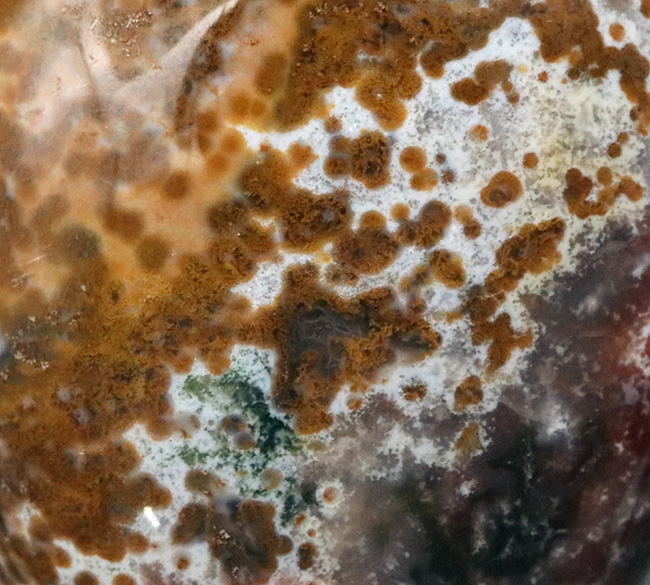 特定地域でのみ発見!マダガスカル北西部の海岸で採集されたカラフルなオーシャンジャスパー(Jasper)(その9)
