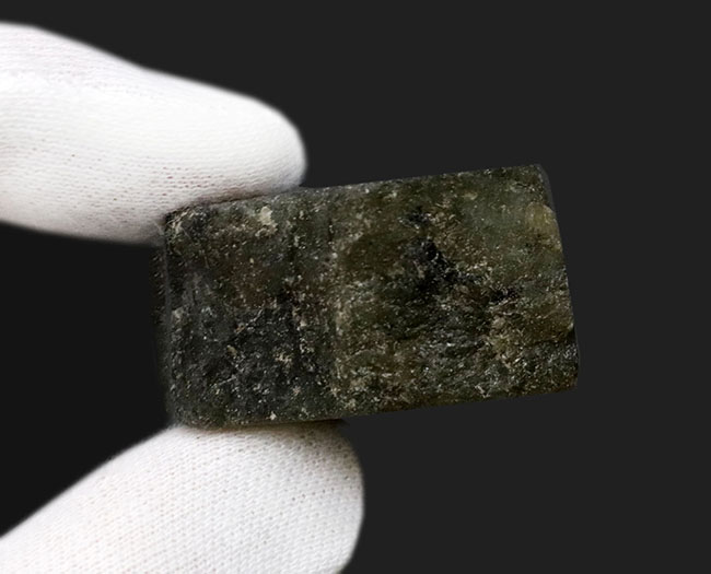 渋いブルーを呈するラブラドライト(Labradorite)のピース(その6)