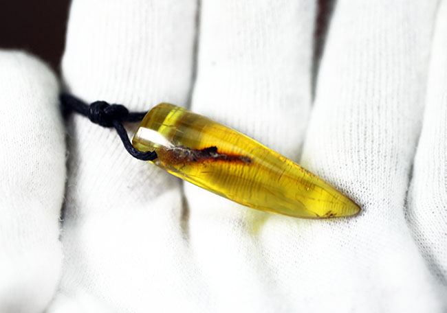 高級ジュエリーケース付き。バルト海産琥珀化石のペンダントトップ(Amber)(その4)