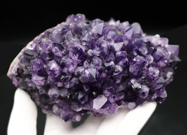 955グラム!かのレオナルド・ダ・ヴィンチを魅了した鉱物、濃い紫色を呈するアメシスト(Amethyst)の原石(その6)