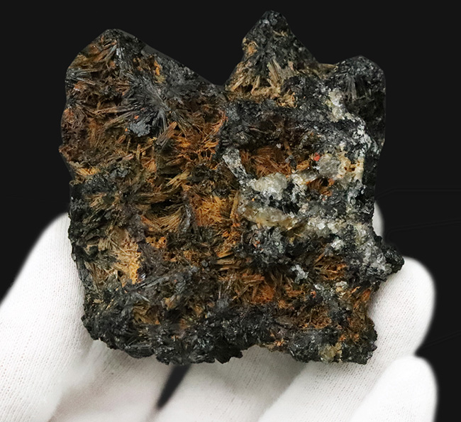 鉱物界の「最強の鉄人」金属界の最高の融点3422度を誇る……山口県産タングステン（Tungsten）鉱石（その4）