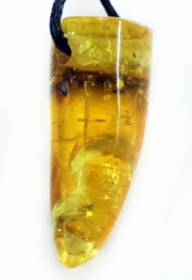 自然由来の宝石である琥珀を使ったペンダントトップ。名産地のバルト海産（黒紐、高級ジュエリーケース付）。（その1）