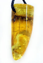 自然由来の宝石である琥珀を使ったペンダントトップ。名産地のバルト海産（黒紐、高級ジュエリーケース付）。