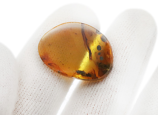 23ミリ級のビッグ標本、恐竜時代の昆虫や植物片が眠る希少な琥珀、その名はバーマイト（Burmite）。内部には、古代の記録が刻まれています！（その7）