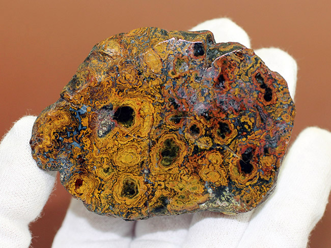 ストロマトライトの縞状模様が多数散見される、ハンガリー産のメノウ(Agate)(その2)