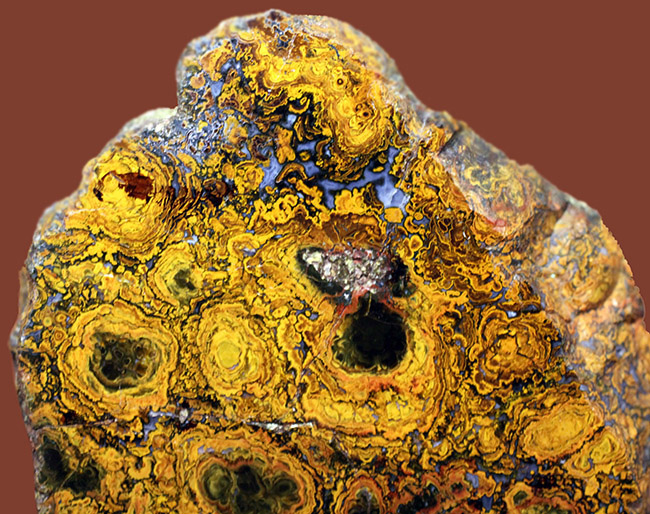 ストロマトライトの縞状模様が多数散見される、ハンガリー産のメノウ(Agate)(その4)
