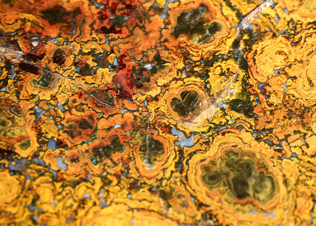 ストロマトライトの縞状模様が多数散見される、ハンガリー産のメノウ(Agate)(その6)
