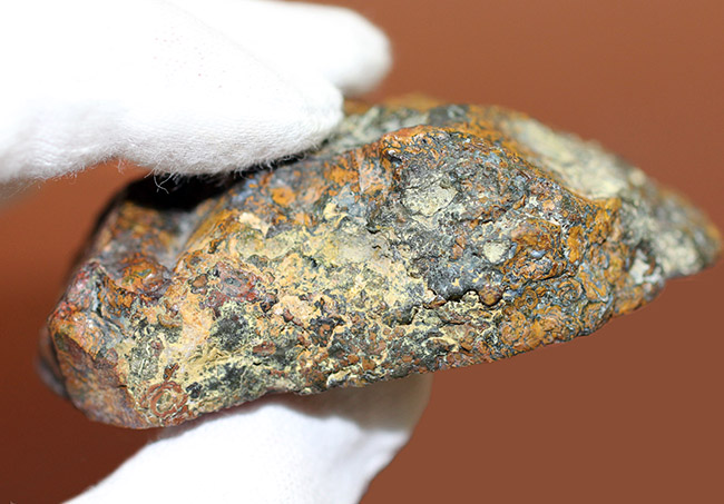 ストロマトライトの縞状模様が多数散見される、ハンガリー産のメノウ(Agate)(その9)