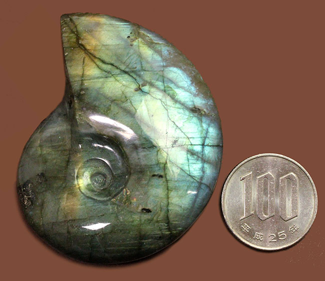 微妙・・・・・。遊び心が試される!?アンモナイト風のラブラドライト(Labradorite)(その12)