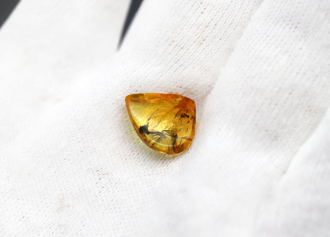 リトアニアンゴールド！およそ４０００万年前のオドリバエ科の羽虫を内包したバルト海産の琥珀（Amber）（その4）
