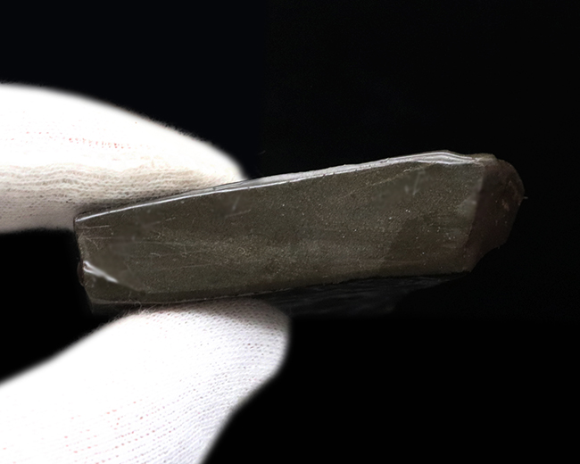 両面光り!これぞドラゴンスキン!多様なクラックが見るものを引き付ける、宝石、アンモライト(Ammolite)のピース(その7)