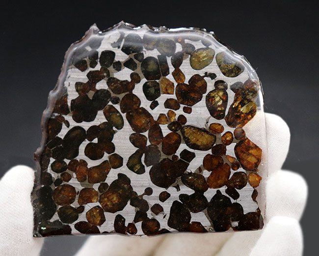 ナイスサイズ、極めて上質なカンラン石を含む、ケニア産のパラサイト隕石（その7）