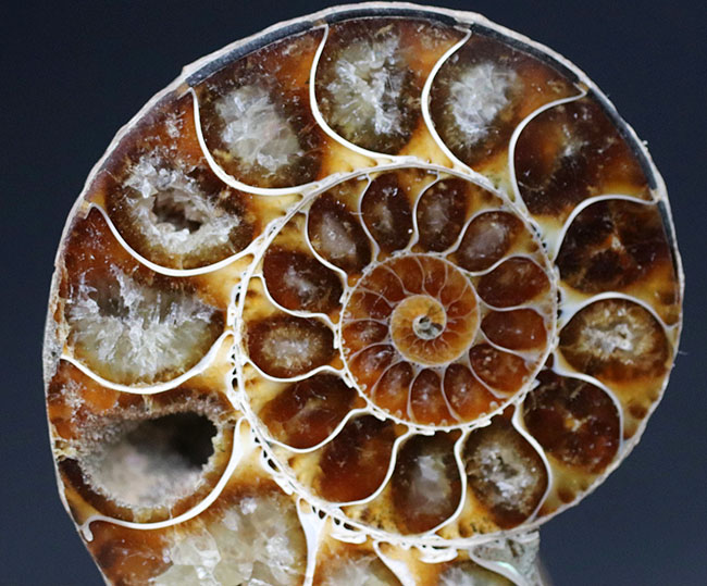 サイズ良し、状態も良い、そして、裏・表ともに良し。まさに厳選された