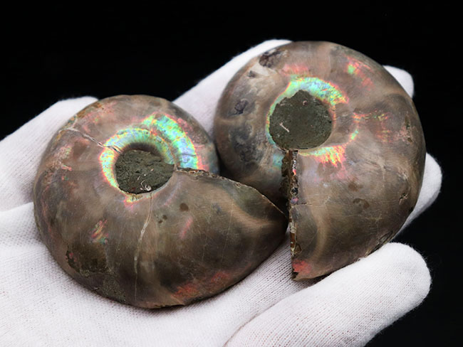 サイズ良し、状態も良い、そして、裏・表ともに良し。まさに厳選された