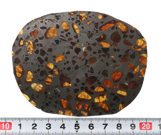 美麗！小惑星帯より飛来した美しき石鉄隕石、パラサイトのスライスカット型標本（その7）