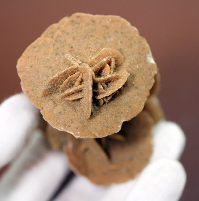 自然が生み出した芸術作品、砂漠のバラ(Desert rose)(その1)