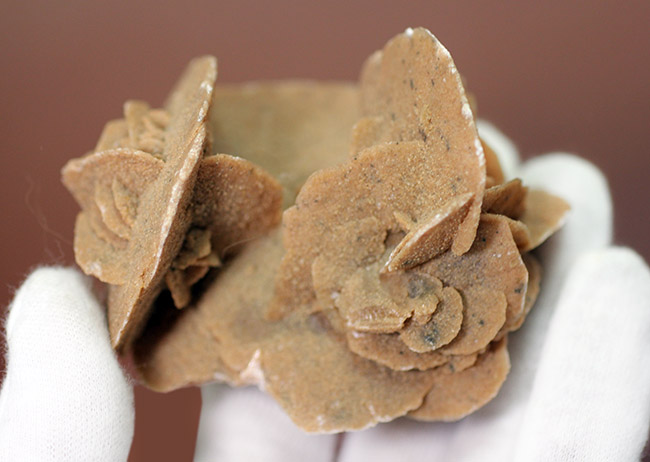 自然が生み出した芸術作品、砂漠のバラ(Desert rose)(その2)