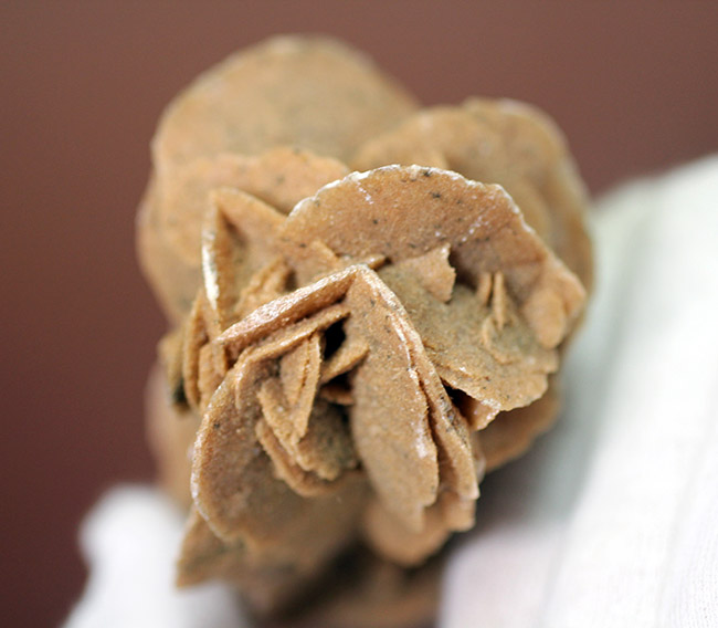 自然が生み出した芸術作品、砂漠のバラ(Desert rose)(その3)
