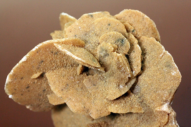 自然が生み出した芸術作品、砂漠のバラ(Desert rose)(その5)