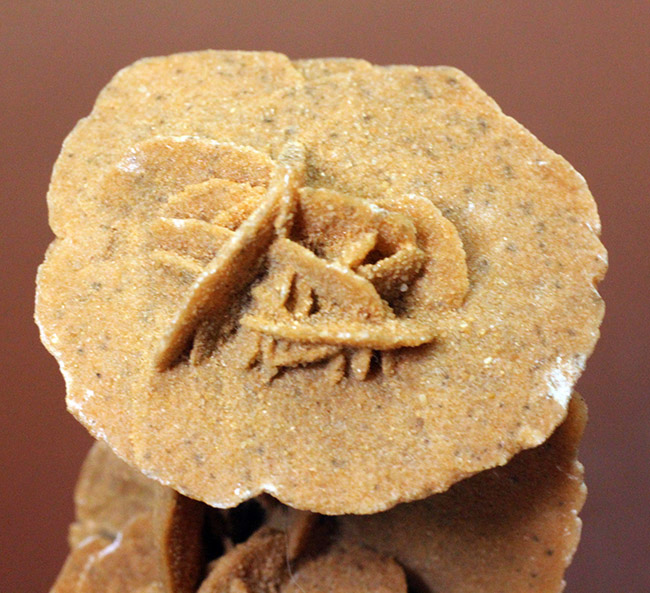自然が生み出した芸術作品、砂漠のバラ(Desert rose)(その6)