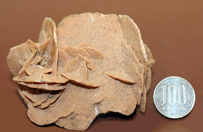 自然が生み出した芸術作品、砂漠のバラ(Desert rose)(その7)