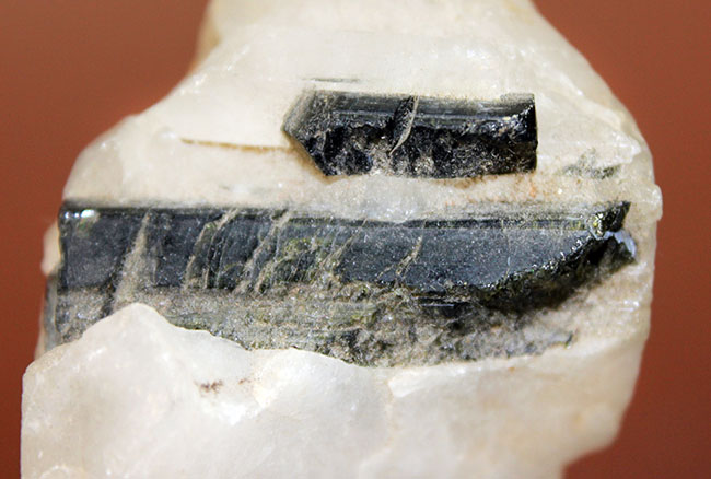 帯電性のある電気石。英名、トルマリン（Tourmalin）の柱状結晶が見られる原石（その3）
