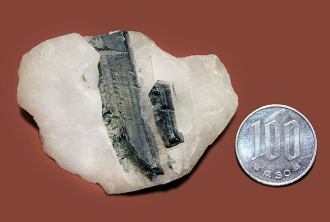 帯電性のある電気石。英名、トルマリン（Tourmalin）の柱状結晶が見られる原石（その6）