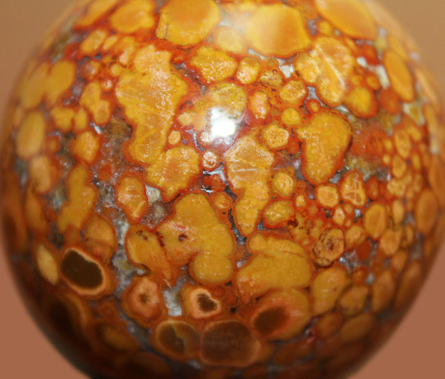 鉱物コレクター必見!凄い柄で見るものを圧倒するキングコブラジャスパー(Orbicular Jasper)。またの名をオーシャンジャスパー。(その2)