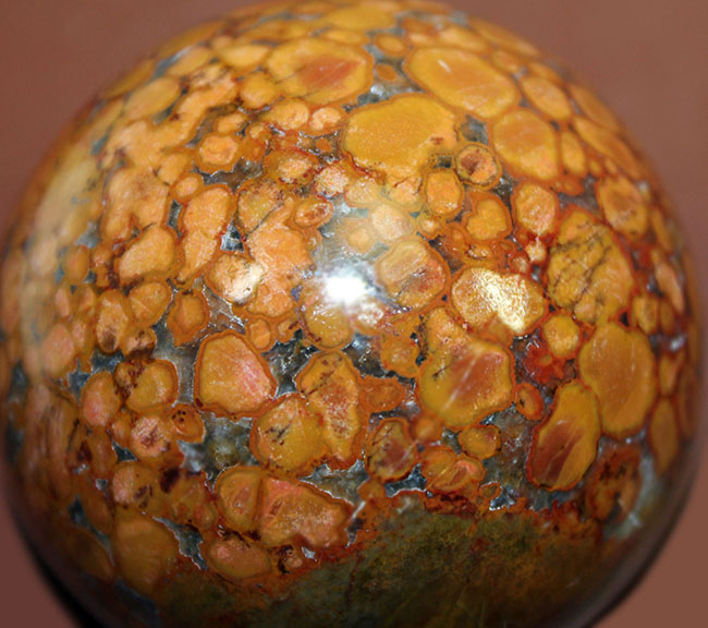 鉱物コレクター必見!凄い柄で見るものを圧倒するキングコブラジャスパー(Orbicular Jasper)。またの名をオーシャンジャスパー。(その4)