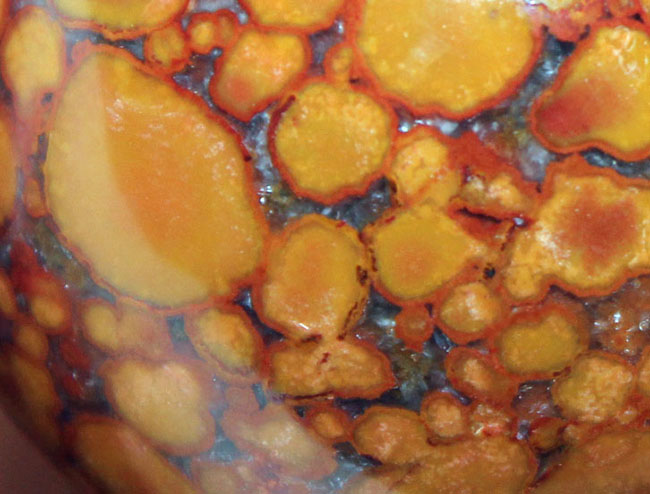 鉱物コレクター必見!凄い柄で見るものを圧倒するキングコブラジャスパー(Orbicular Jasper)。またの名をオーシャンジャスパー。(その5)