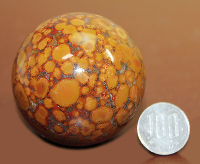 鉱物コレクター必見!凄い柄で見るものを圧倒するキングコブラジャスパー(Orbicular Jasper)。またの名をオーシャンジャスパー。(その7)