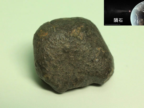 子ども用プレゼントに最適!本物恐竜歯化石から隕石まで、人気種がそろったオールスター6点セット(その7)
