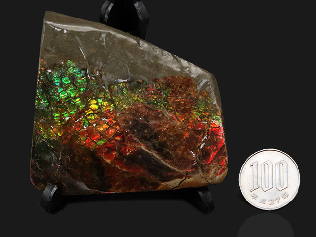 ドラゴンスキン！グリーン、イエロー、オレンジ、レッドなど流れるよう