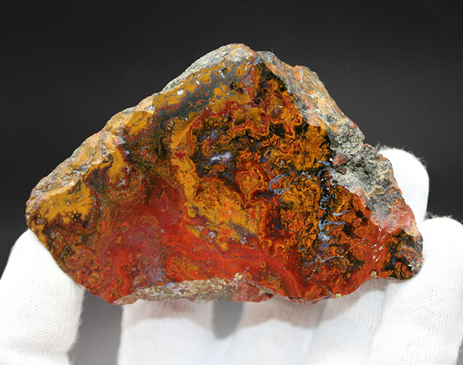 人気!ハンガリー産のストロマトライトを含むメノウ(Agate)(その5)