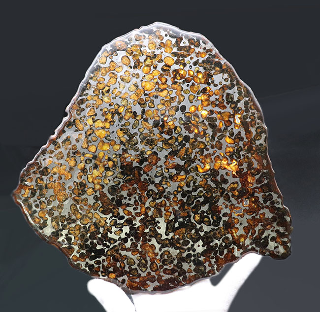 半透明の黄色の輝きにに目を奪われる！最大部２３センチ超えの極大のパラサイト隕石（本体防錆処理済み）（その1）