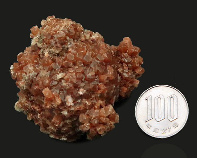 アンモナイトの殻の主成分として知られる霰石（あられいし）……モロッコ産天然アラゴナイト（Aragonite）（その7）