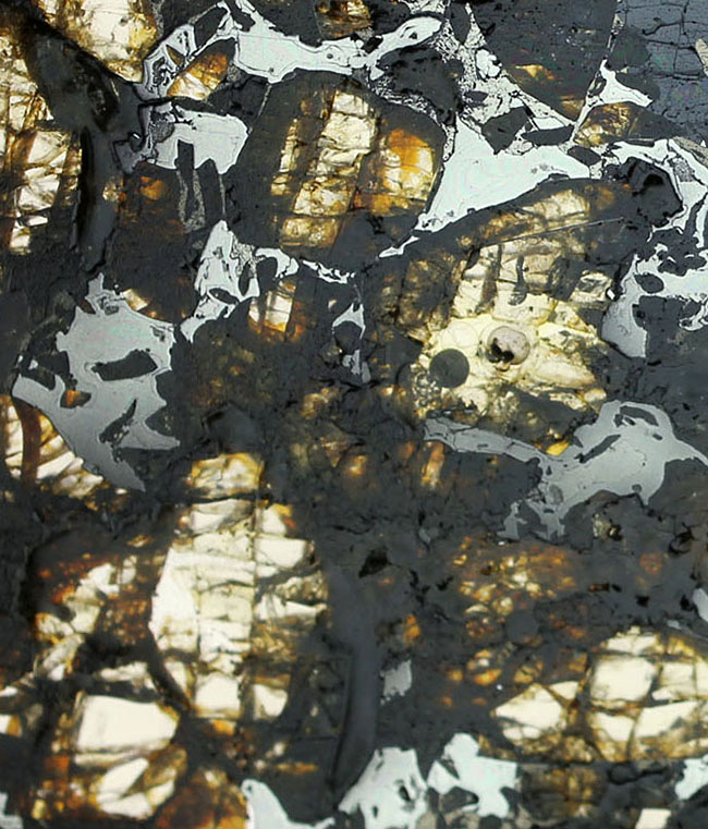 世界で最も美しい隕石とされる石鉄隕石、パラサイトに分類されるブラヒン隕石（専用ケース付き）（その1）