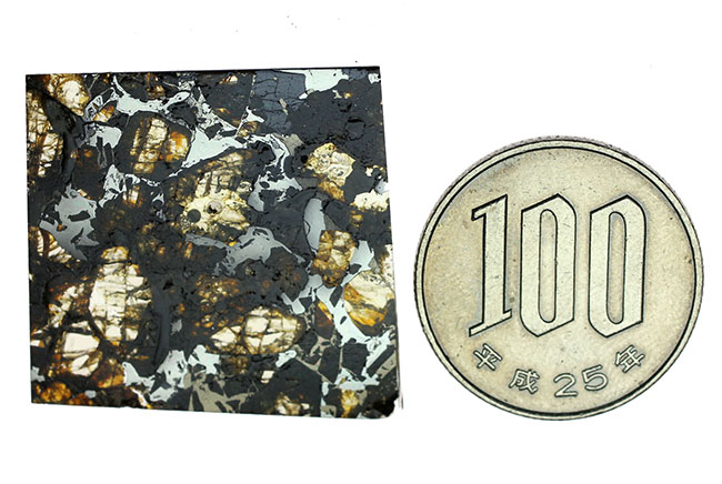 世界で最も美しい隕石とされる石鉄隕石、パラサイトに分類されるブラヒン隕石（専用ケース付き）（その10）