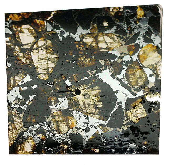 世界で最も美しい隕石とされる石鉄隕石、パラサイトに分類されるブラヒン隕石（専用ケース付き）（その2）
