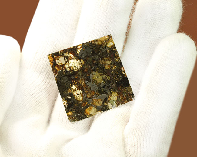 世界で最も美しい隕石とされる石鉄隕石、パラサイトに分類されるブラヒン隕石（専用ケース付き）（その3）
