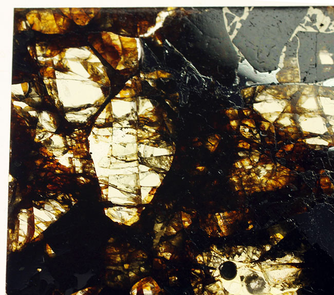 世界で最も美しい隕石とされる石鉄隕石、パラサイトに分類されるブラヒン隕石（専用ケース付き）（その4）
