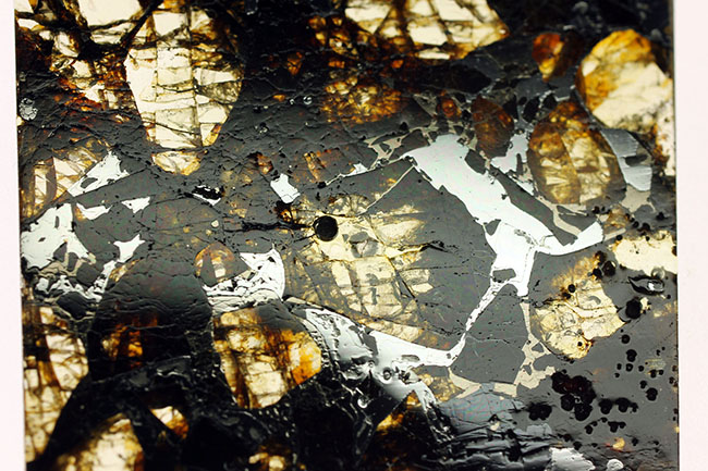 世界で最も美しい隕石とされる石鉄隕石、パラサイトに分類されるブラヒン隕石（専用ケース付き）（その6）