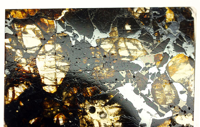 世界で最も美しい隕石とされる石鉄隕石、パラサイトに分類されるブラヒン隕石（専用ケース付き）（その7）