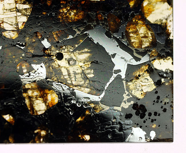 世界で最も美しい隕石とされる石鉄隕石、パラサイトに分類されるブラヒン隕石（専用ケース付き）（その8）