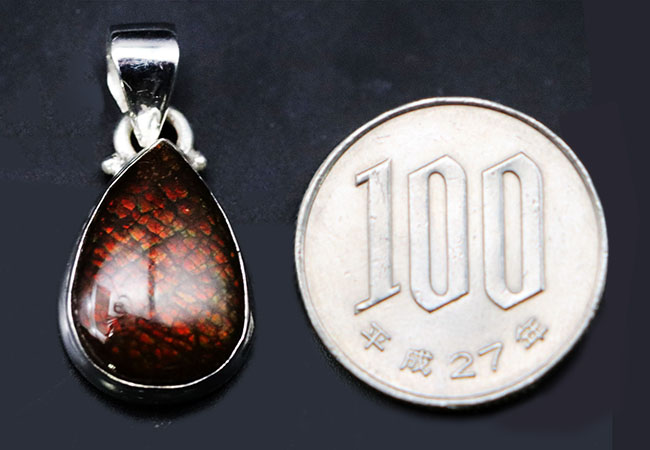 レッドカラーのドラゴンスキンが備わったアンモライト(Ammolite)を使ったペンダントトップ。カナダ産アルバータ州産。金具はスターリングシルバー。チェーン、革紐、ジュエリーケース付き(その10)