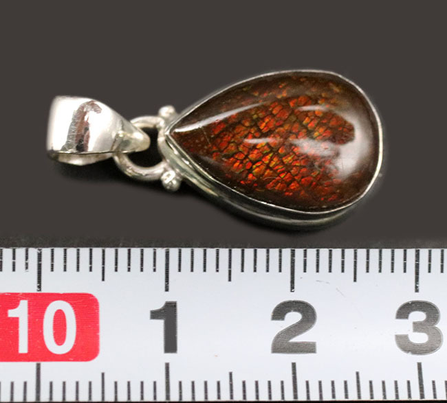 レッドカラーのドラゴンスキンが備わったアンモライト(Ammolite)を使ったペンダントトップ。カナダ産アルバータ州産。金具はスターリングシルバー。チェーン、革紐、ジュエリーケース付き(その9)