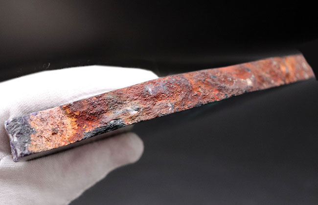ハイクオリティ、驚くべきサイズ、最長部21センチを超える特大のレインボーフローライト(Fluorite)(その10)